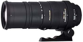 レンズ(ズーム) SIGMA DG 150-500mm F5-6.3 CANON 1582 Amazon | SIGMA 超望遠ズームレンズ APO 150-500mm F5-6.3 DG OS